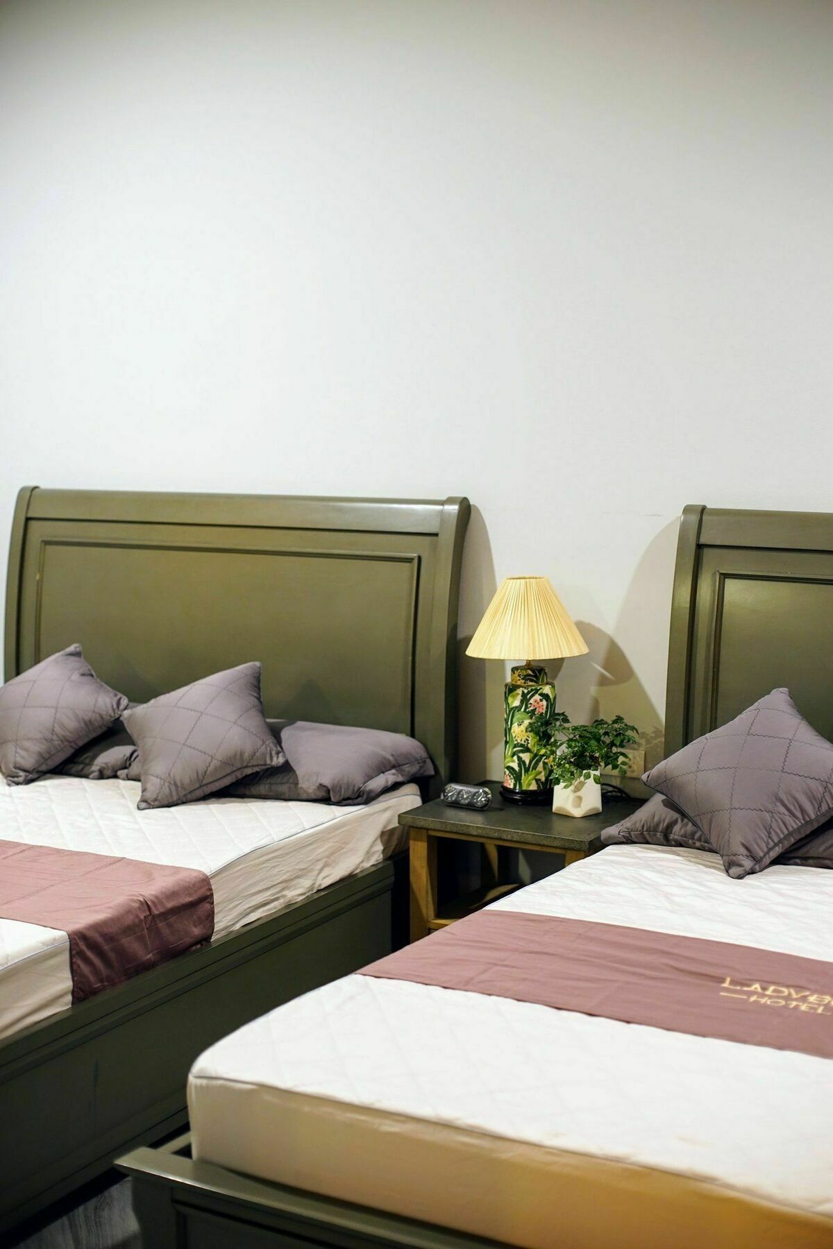 Ladybug Boutique Villa Hanoi Eksteriør bilde