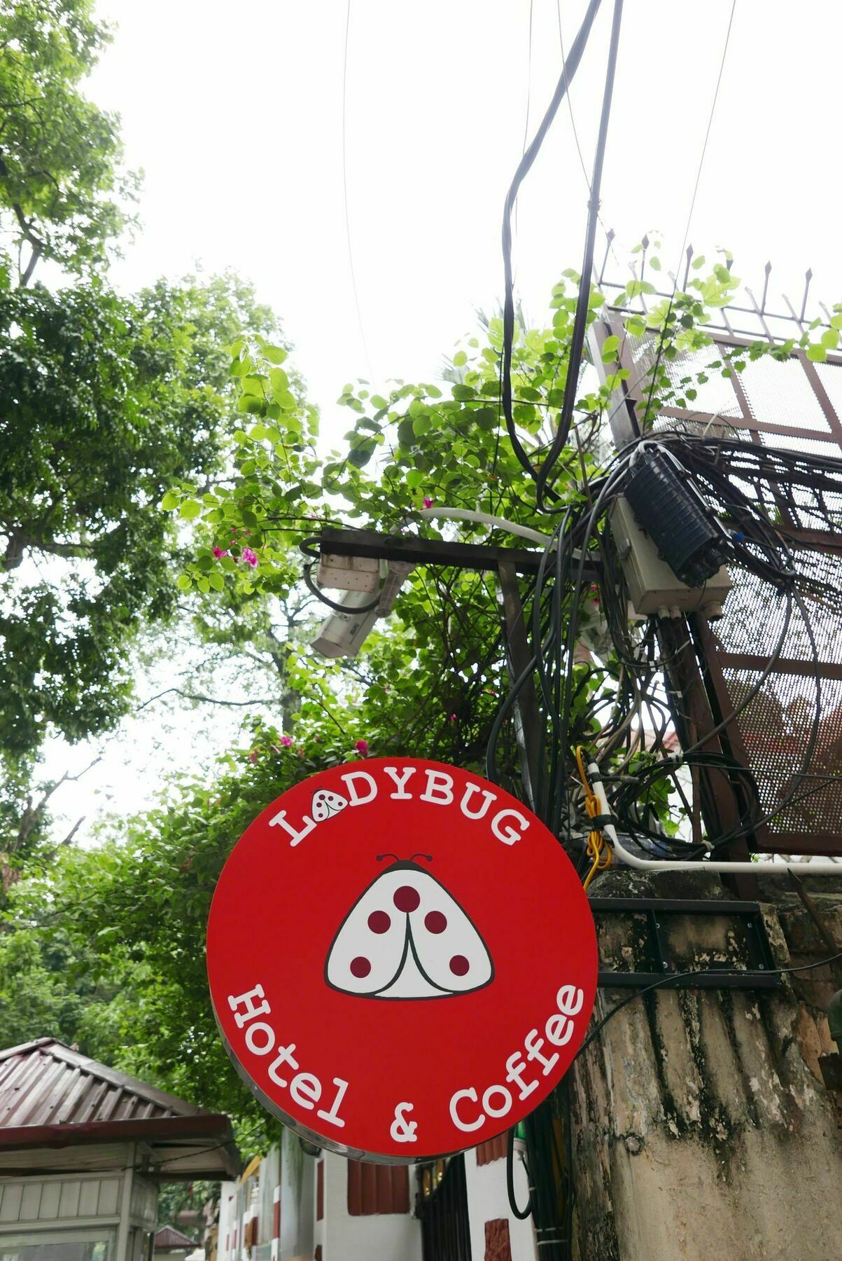 Ladybug Boutique Villa Hanoi Eksteriør bilde
